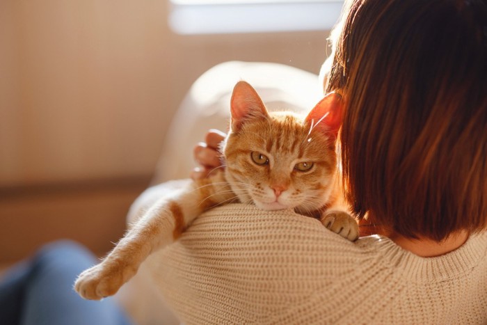 女性に抱っこされる猫