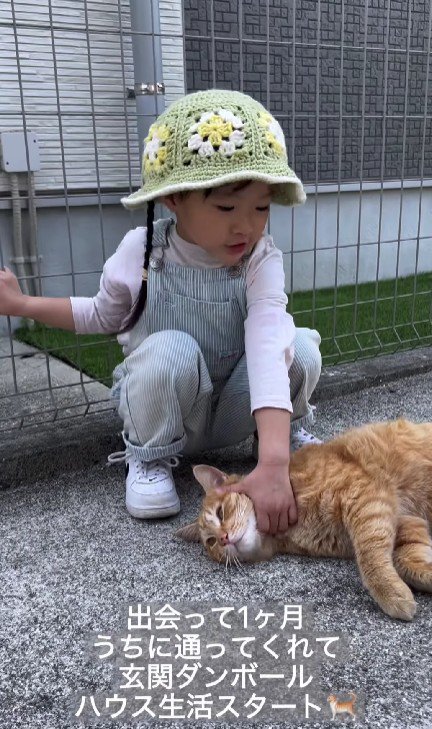 猫をなでる女の子