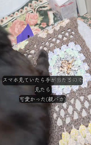 背中を向ける猫