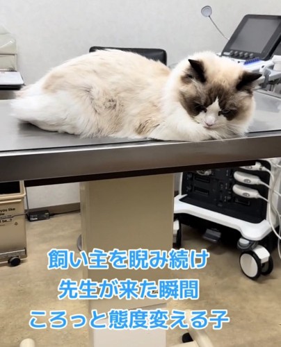 診察を待つムンタちゃん