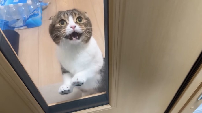 扉越し