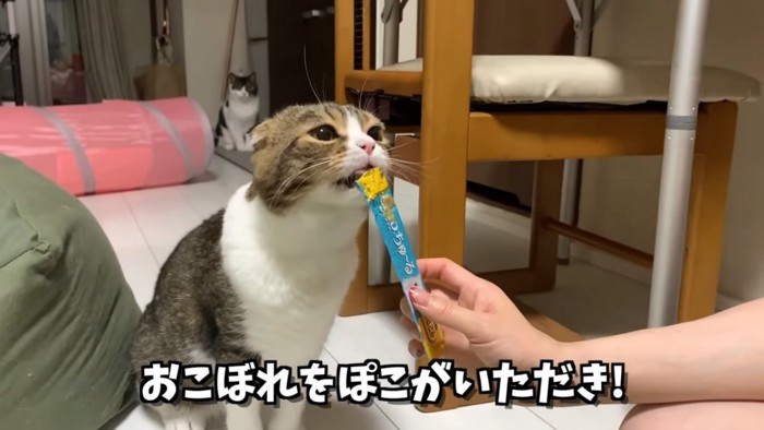 おやつを食べる