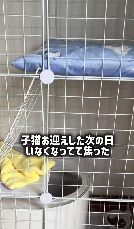 ケージの中にあるトイレ