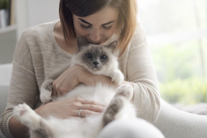 女性に抱かれる猫