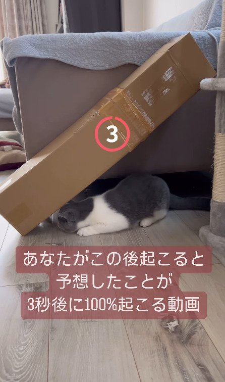 カウントダウン3秒前