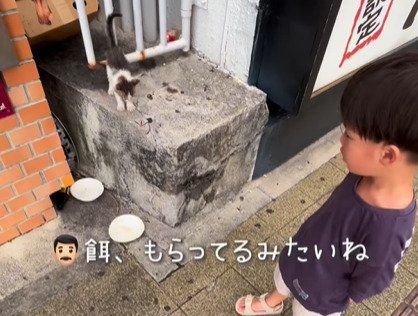 子猫を見る少年2