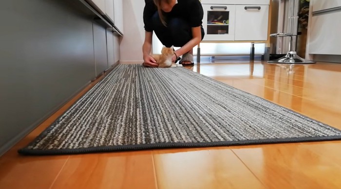 料理をしている飼い主とキッチンマットにいる子猫