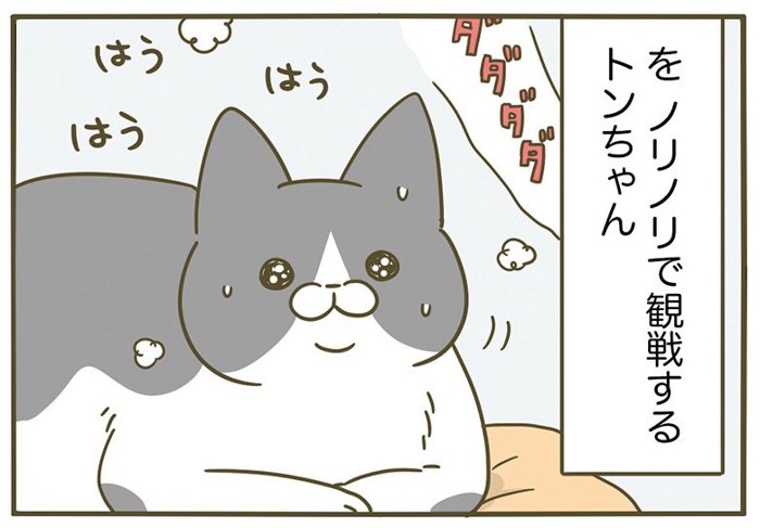 うちの猫がまた変なことしてる。