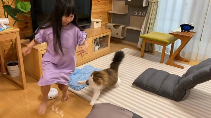 タッチしようとするこっちゃん