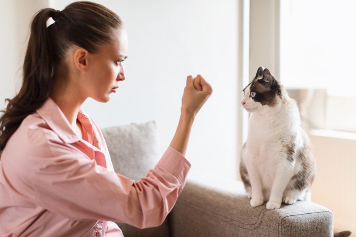 こぶしをの握る女性と猫