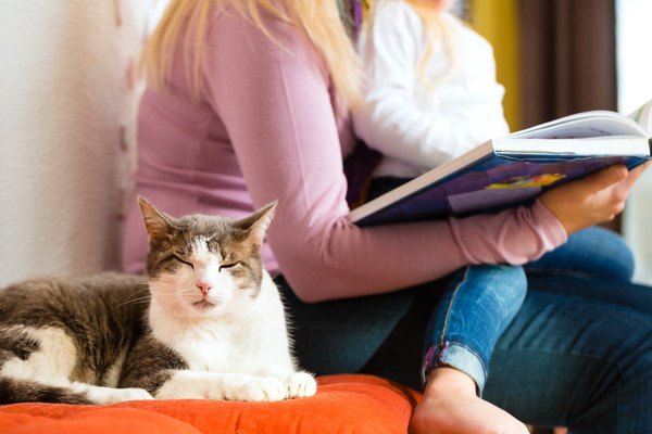 女性の隣にいる猫