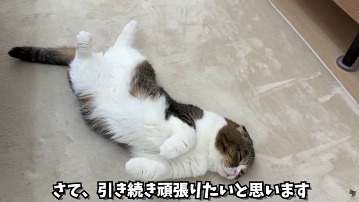 テロップ「さて、引き続き~」