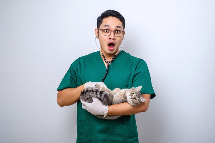 猫と驚く獣医師
