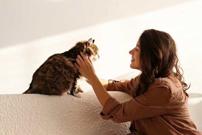 向かい合う猫と飼い主さん