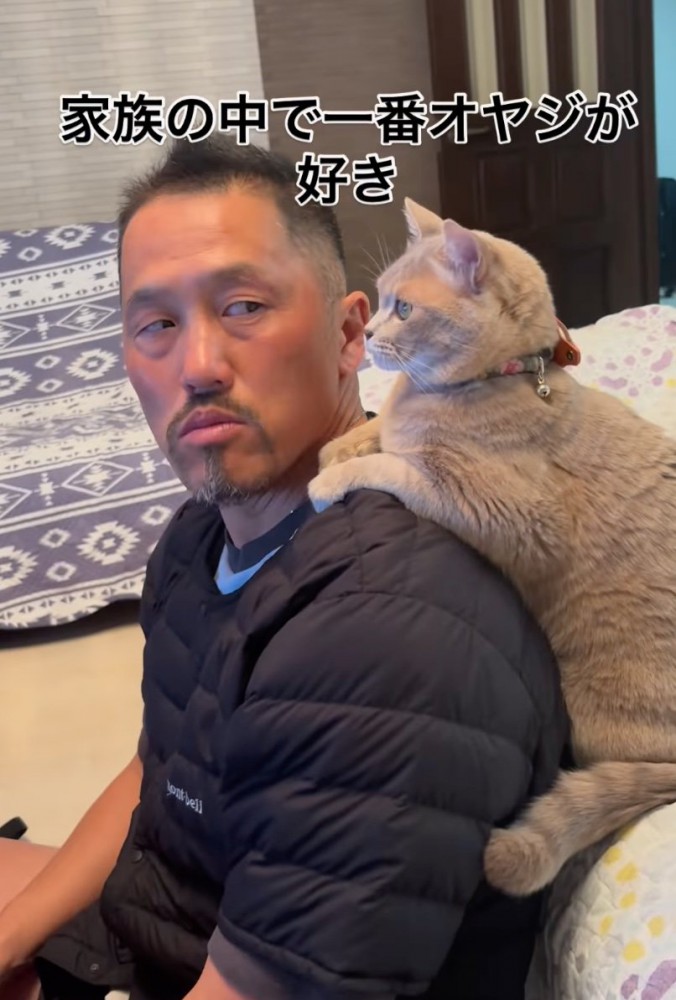 猫を振り返る男性