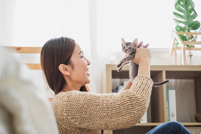 女性に抱っこされる子猫