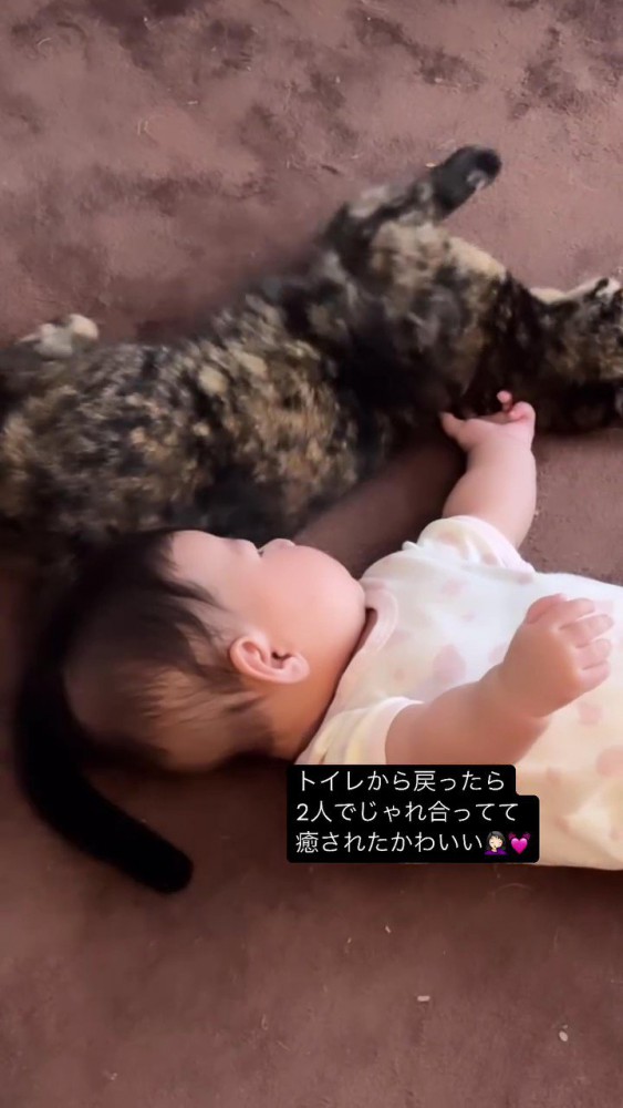 寝ている赤ちゃんと猫