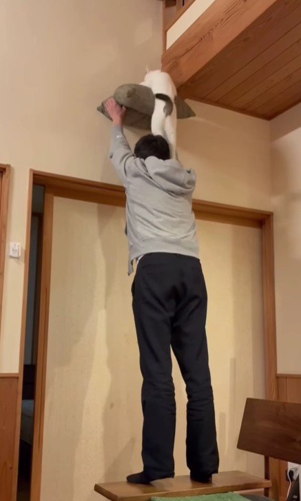 座布団を掲げる飼い主と猫