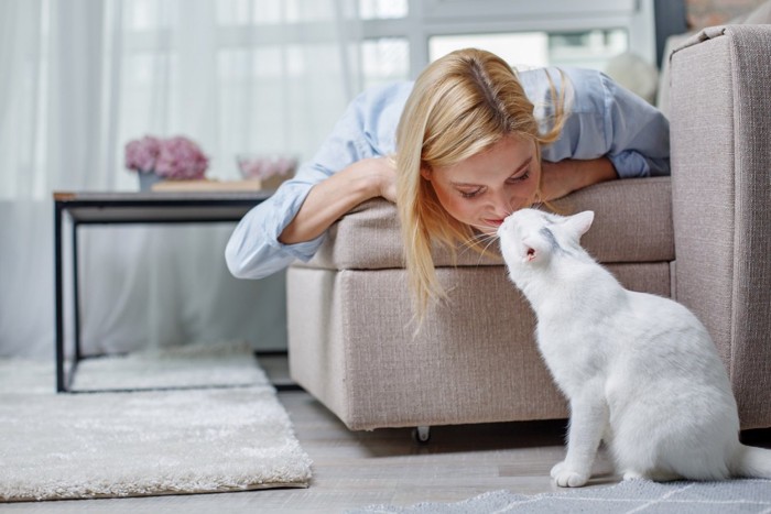 女性の鼻に鼻を近づける猫