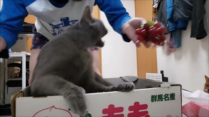 身を乗り出した姿