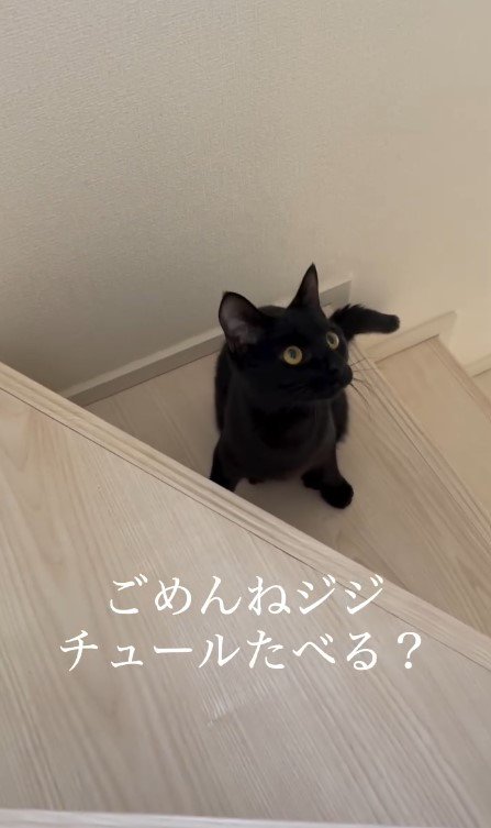 「頑張ったご褒美におやつ食べる？」「うん！」