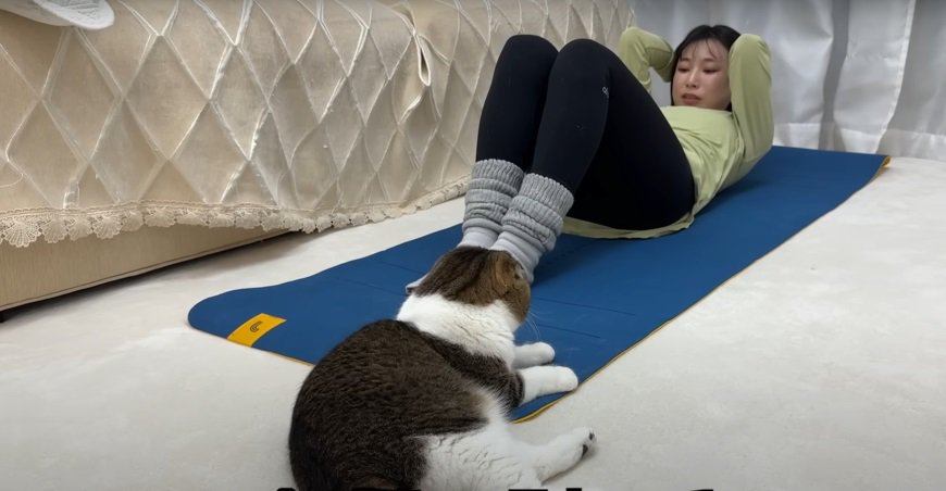 腹筋をする女性と猫