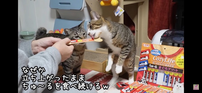 そのまま食べる