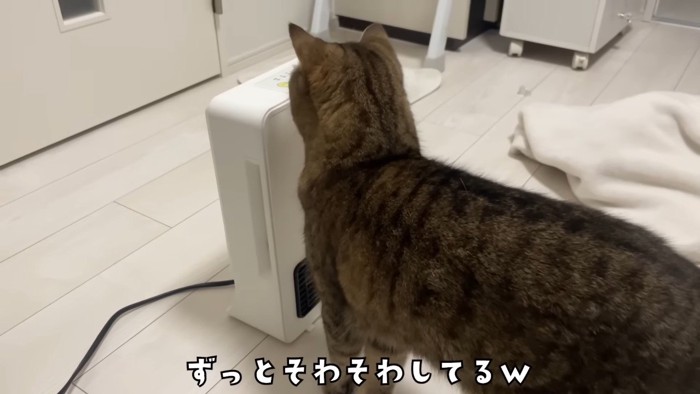 ずっとそわそわ