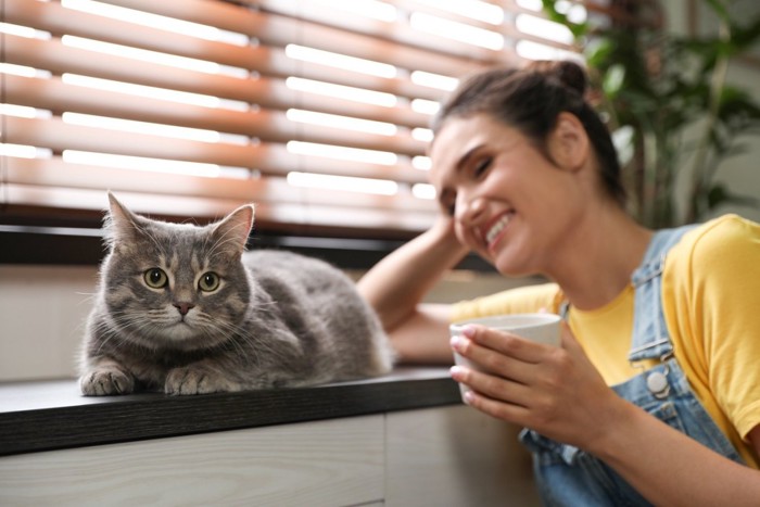 女性に背を向ける猫