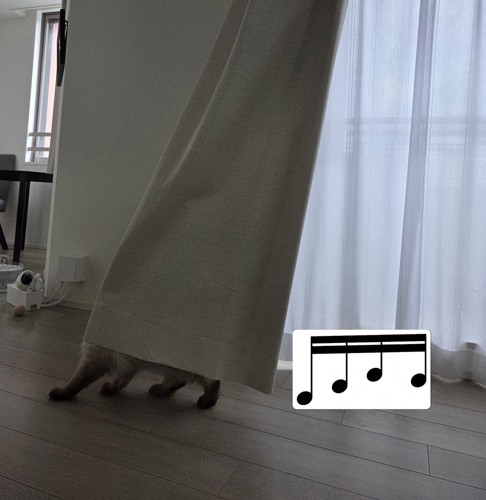 カーテンの下から見えている猫の足と、その隣に並べられた16分音符の画像
