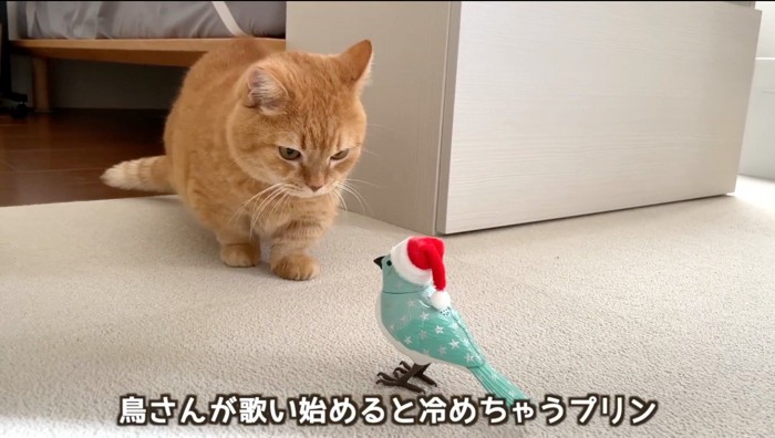 音を発する鳥のおもちゃから後ずさる茶トラ猫