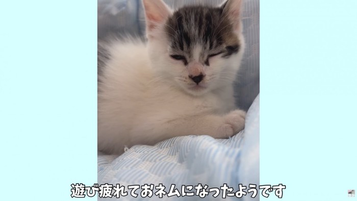 テロップ「遊び疲れて～」