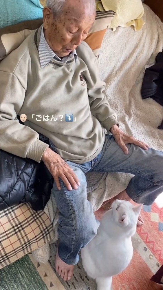 おじいちゃんの前に座る猫