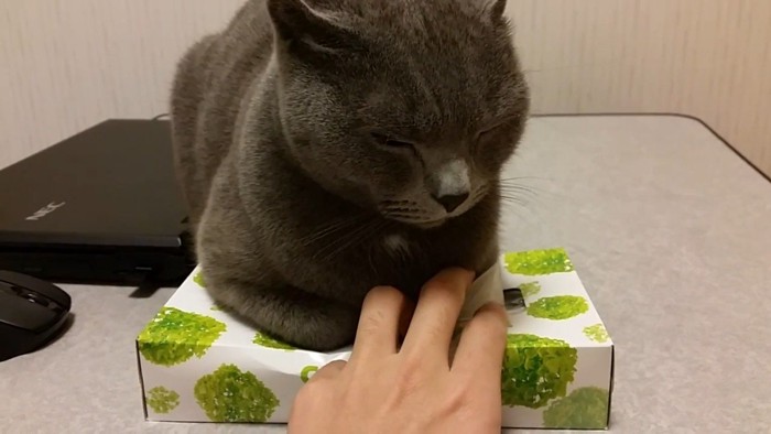 ティッシュを取ろうとする手