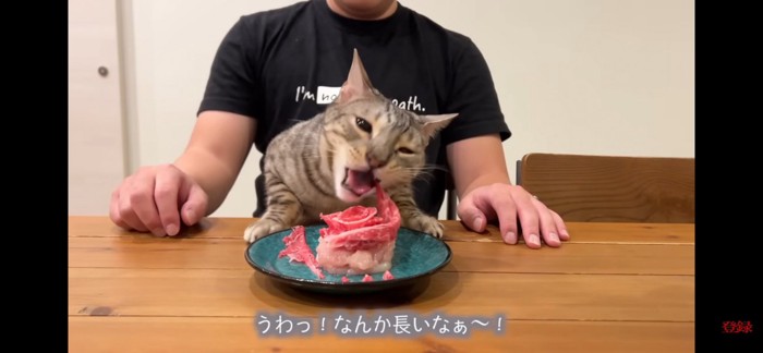 肉ケーキ