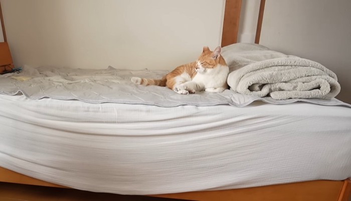 ベッドの上