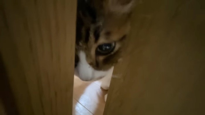 ドアの隙間