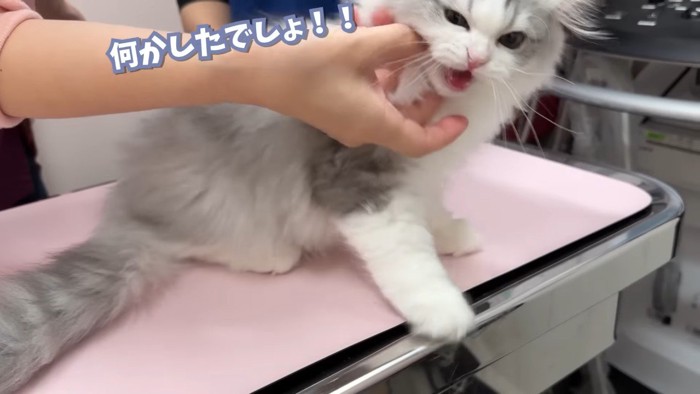 何かしたでしょ！！