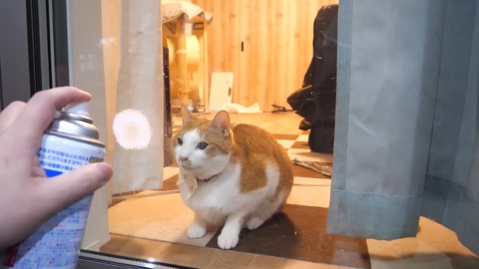 座り込むチップくん