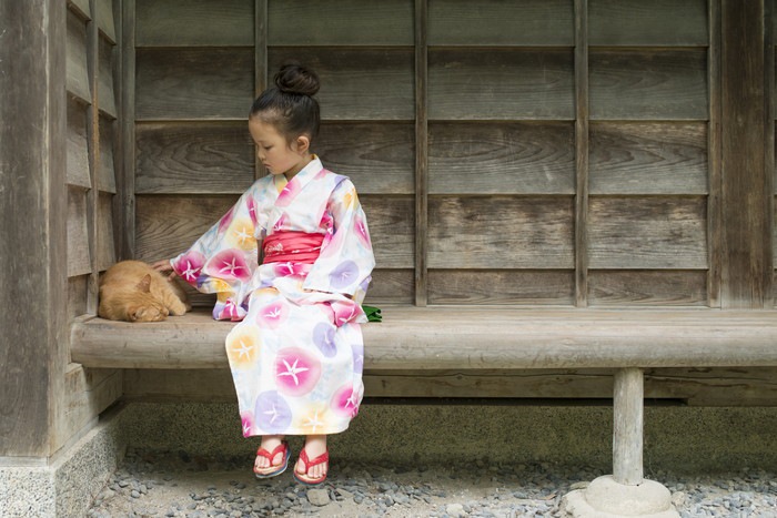 浴衣の女の子と猫