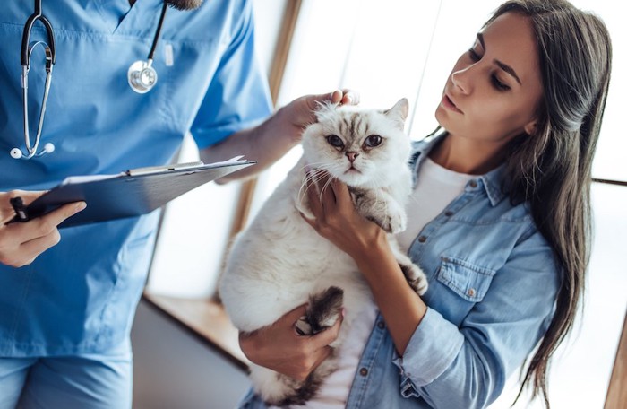 獣医師と猫を抱いた女性の飼い主