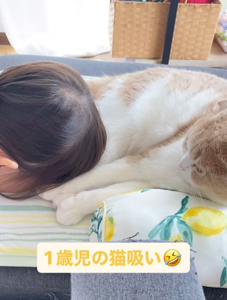 猫の体に顔を埋める子供