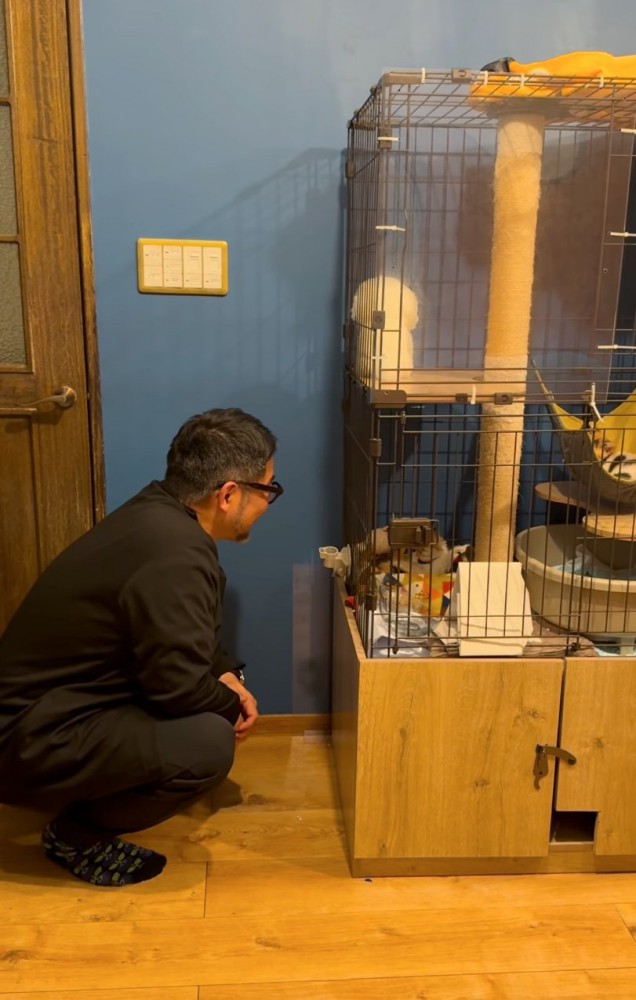 子猫を覗き込む男性