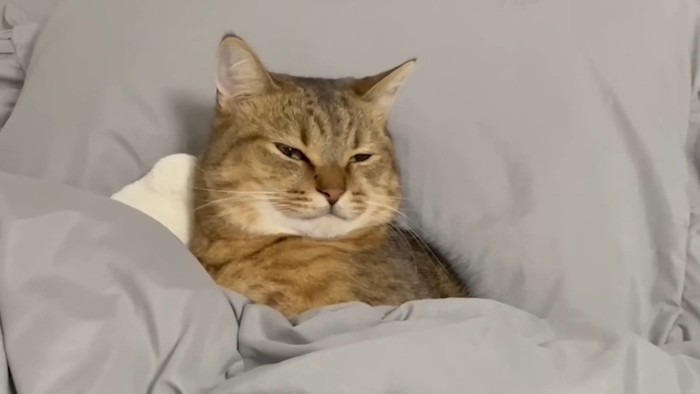 目を細めた顔のアップ