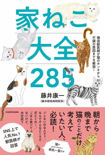 家ねこ大全285 カバー