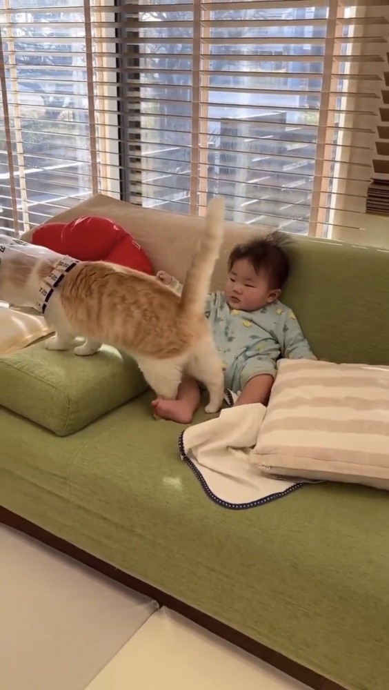 子供のそばにいる猫%％華麗な足さばきのがんもくん