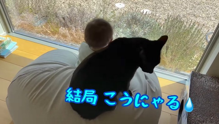 結局こうにゃる