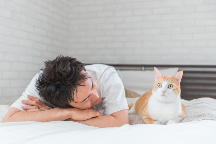 男性に話しかけられ目を丸くする猫