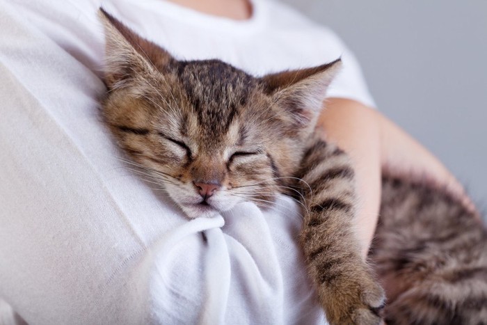 猫を抱くシニアの手