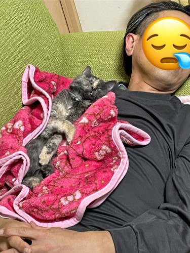 抱っこされて寝る猫